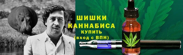 мет Гусев
