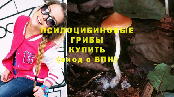 PSILOCYBIN Гусь-Хрустальный
