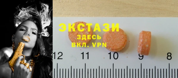 PSILOCYBIN Гусь-Хрустальный