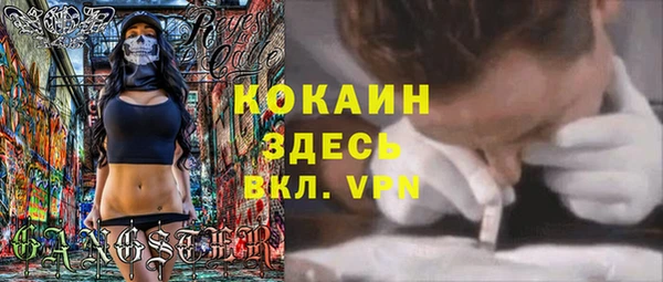мет Гусев