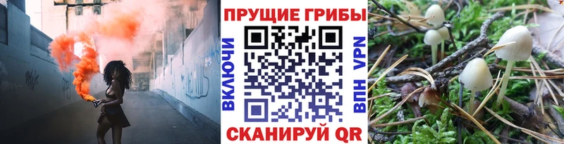 Псилоцибиновые грибы мухоморы Дрезна